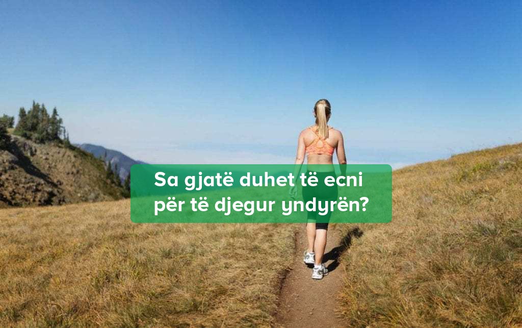 Shkrirja Dhjamit