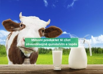 Zëvendësimet Qumështit Lopes